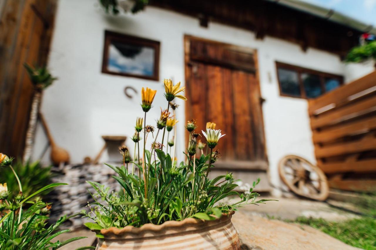 Szitas Rooms Прайд Экстерьер фото
